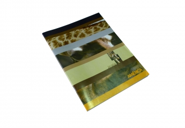 Cuaderno America sin espiral 16 x 21cm tapa flexible, 48 hojas, rayado. Para uso escolar y apuntes de trabajo, papel de 65 grs.